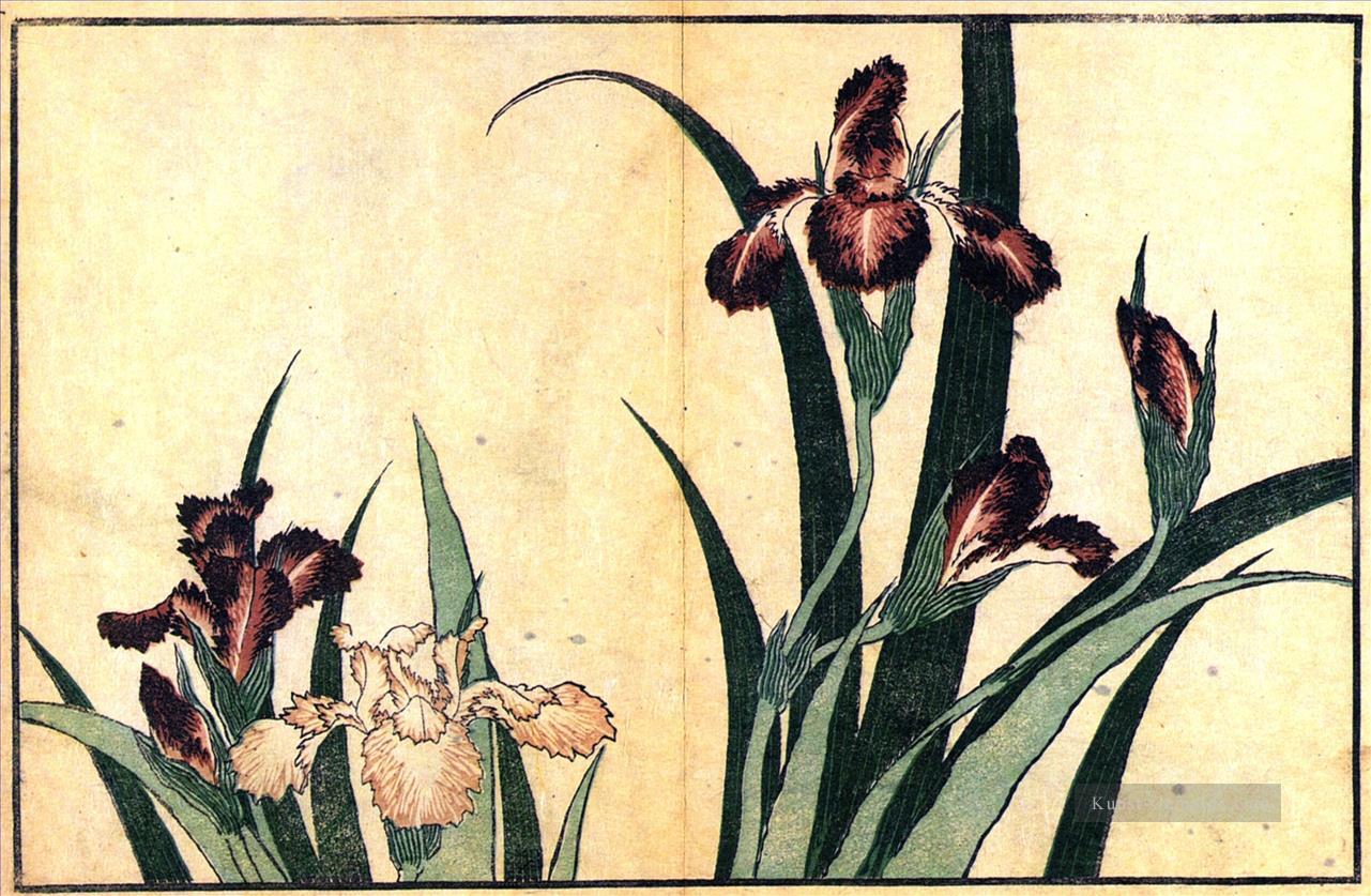 Iris Katsushika Hokusai Japaner Ölgemälde
